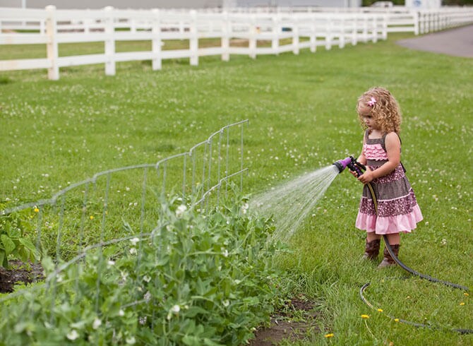 watering vegetable garden